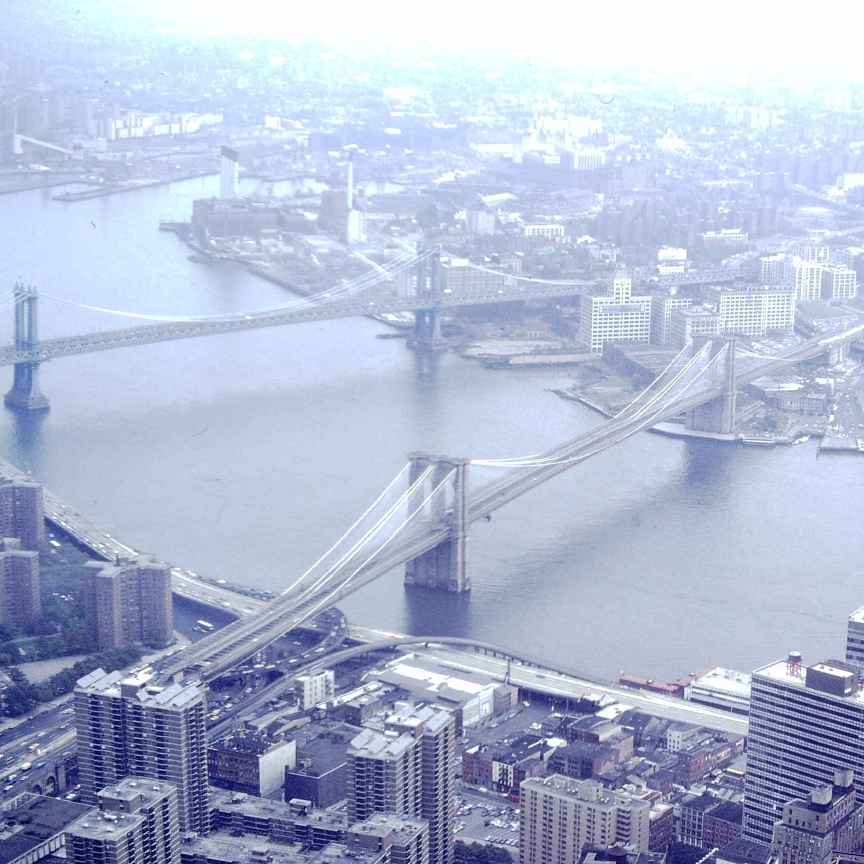 Find Businesses Near Me in New York